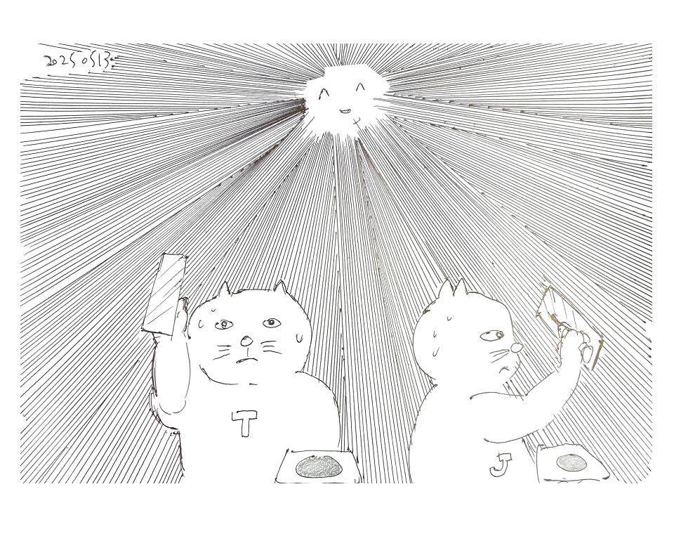コネコジローの現場日記2025年5月13日