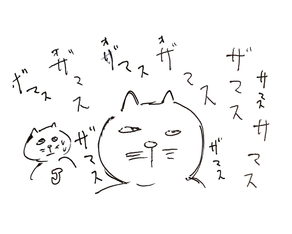 コネコジローの現場日記2025年6月22日③