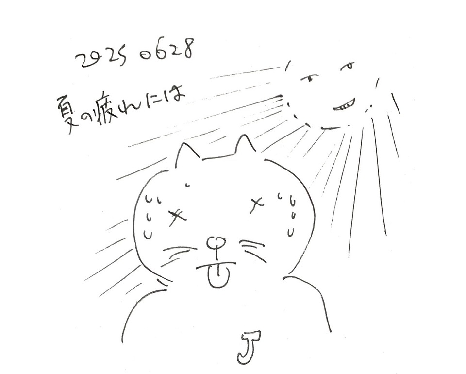 コネコジローの現場日記2025年6月28日①
