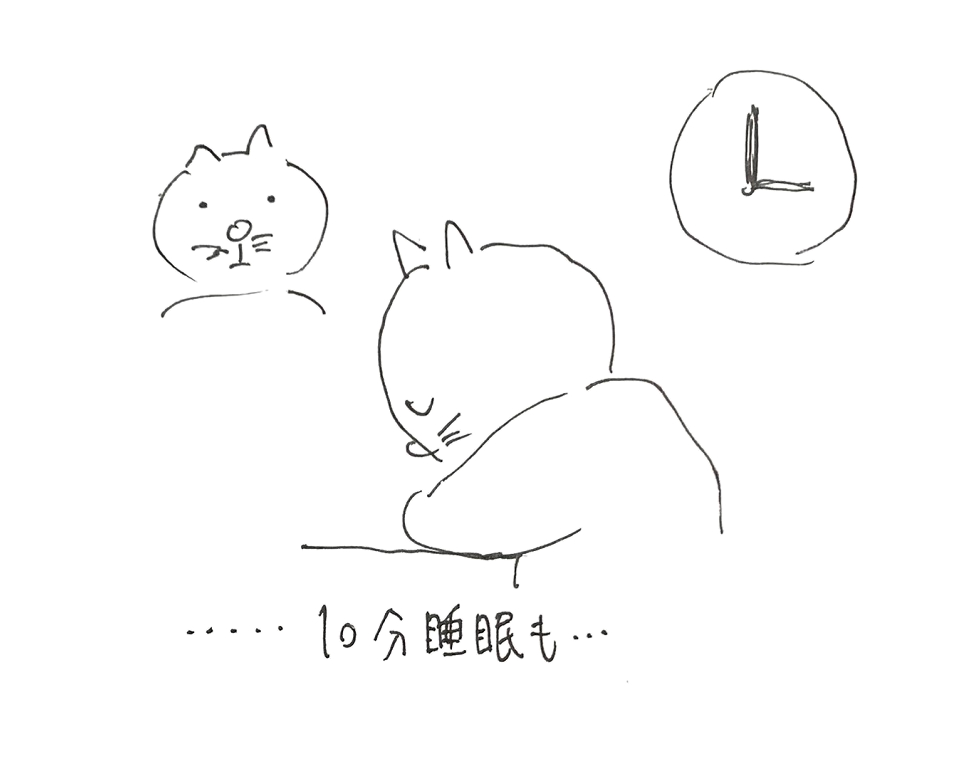 コネコジローの現場日記2025年6月28日④