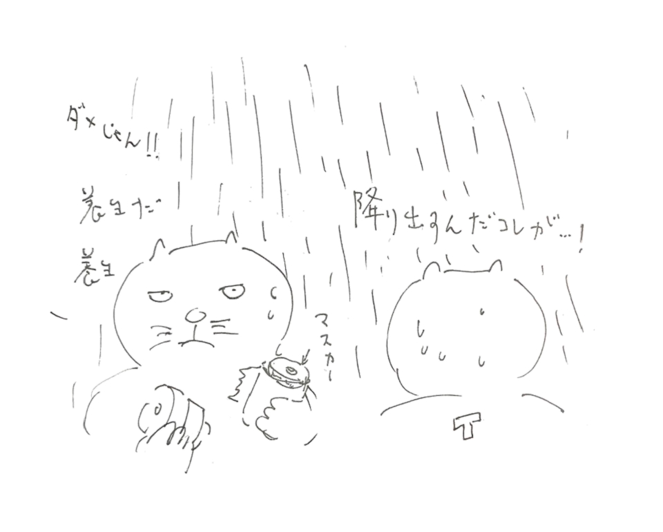 コネコジローの現場日記2025年6月23日④