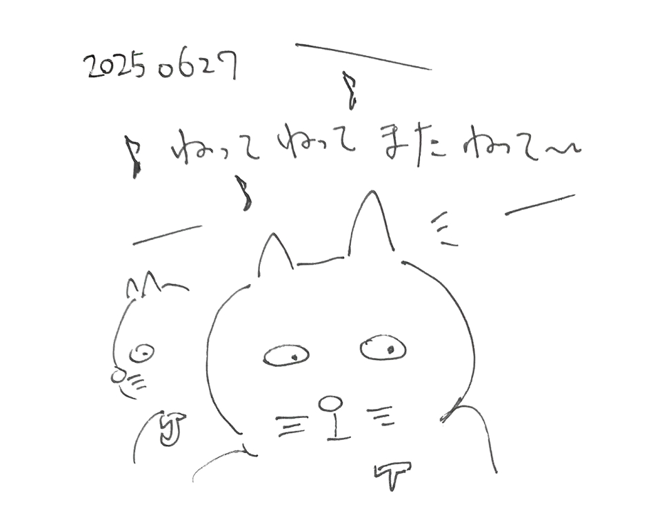 コネコジローの現場日記2025年6月27日①