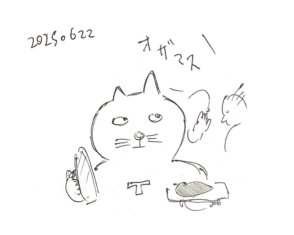 コネコジローの現場日記2025年6月22日①