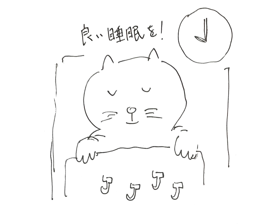 コネコジローの現場日記2025年6月28日②