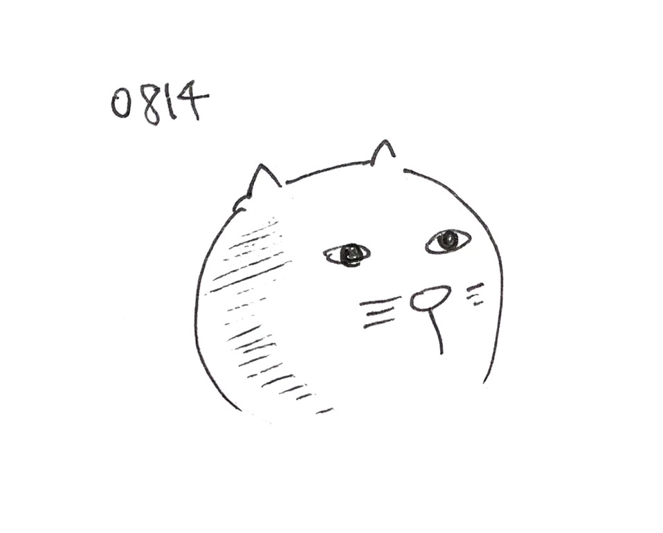 コネコジローの現場日記2025年8月9日⑥