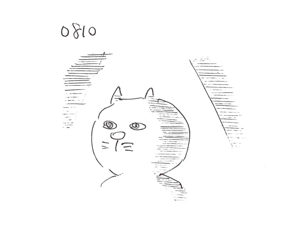 コネコジローの現場日記2025年8月9日②