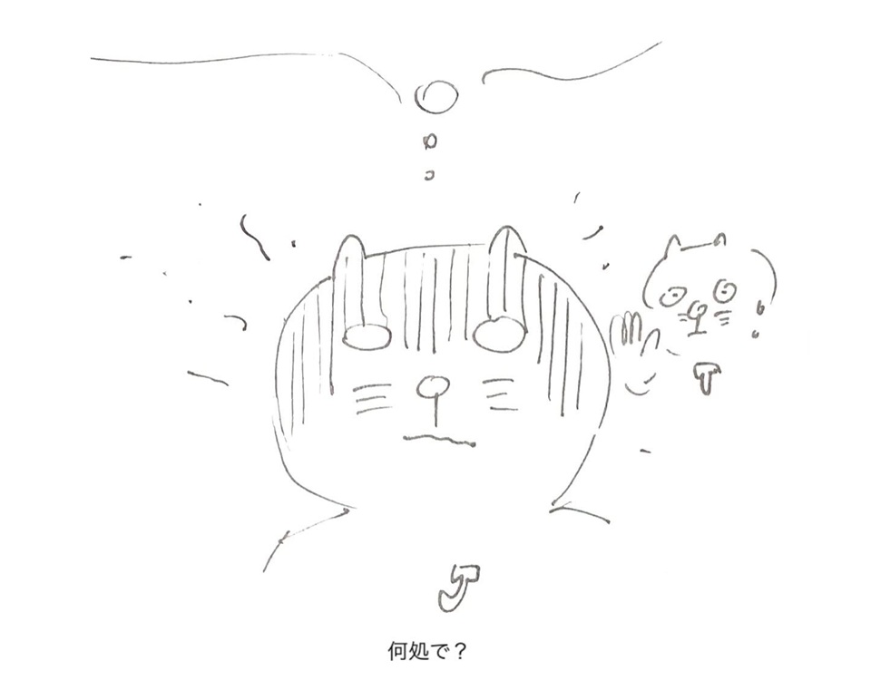 コネコジローの現場日記2025年8月8日⑤