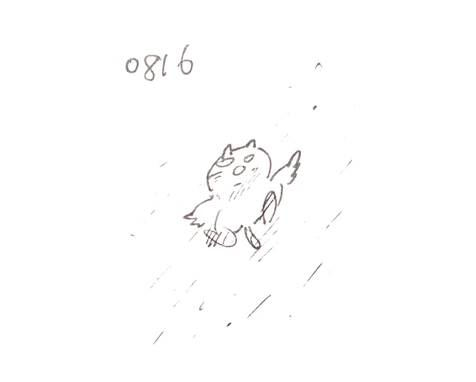 コネコジローの現場日記2025年8月9日⑧