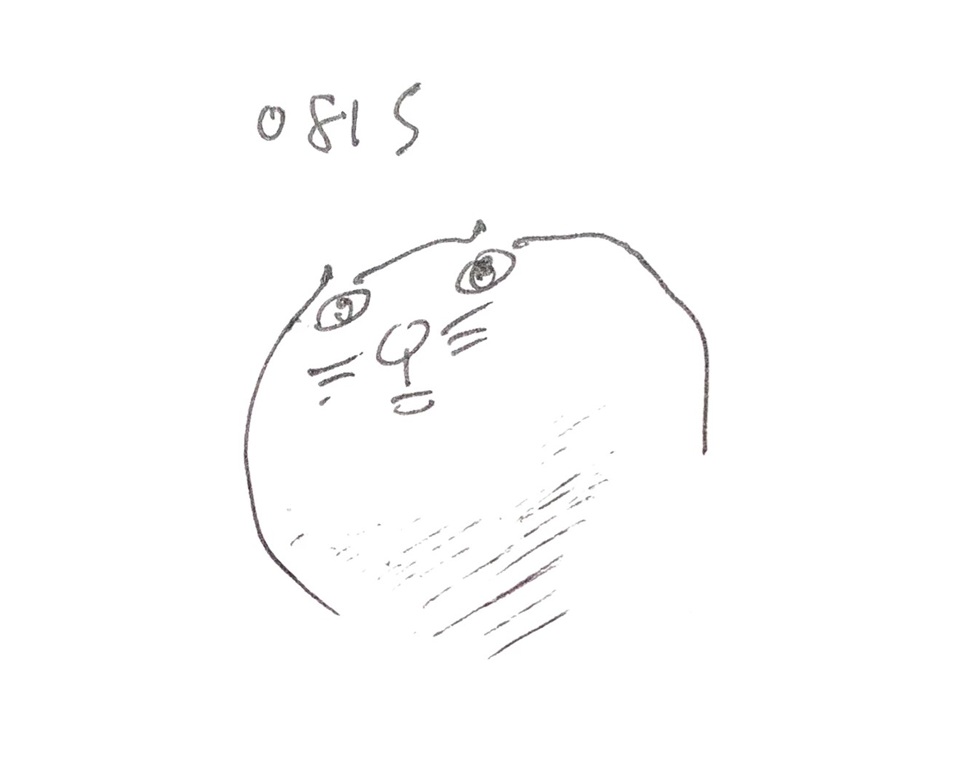 コネコジローの現場日記2025年8月9日⑦