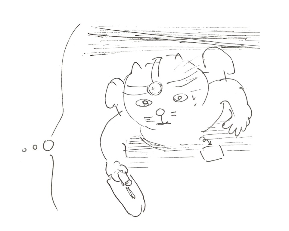 コネコジローの現場日記2025年8月8日②