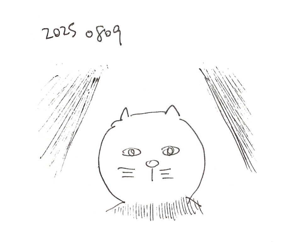 コネコジローの現場日記2025年8月9日①