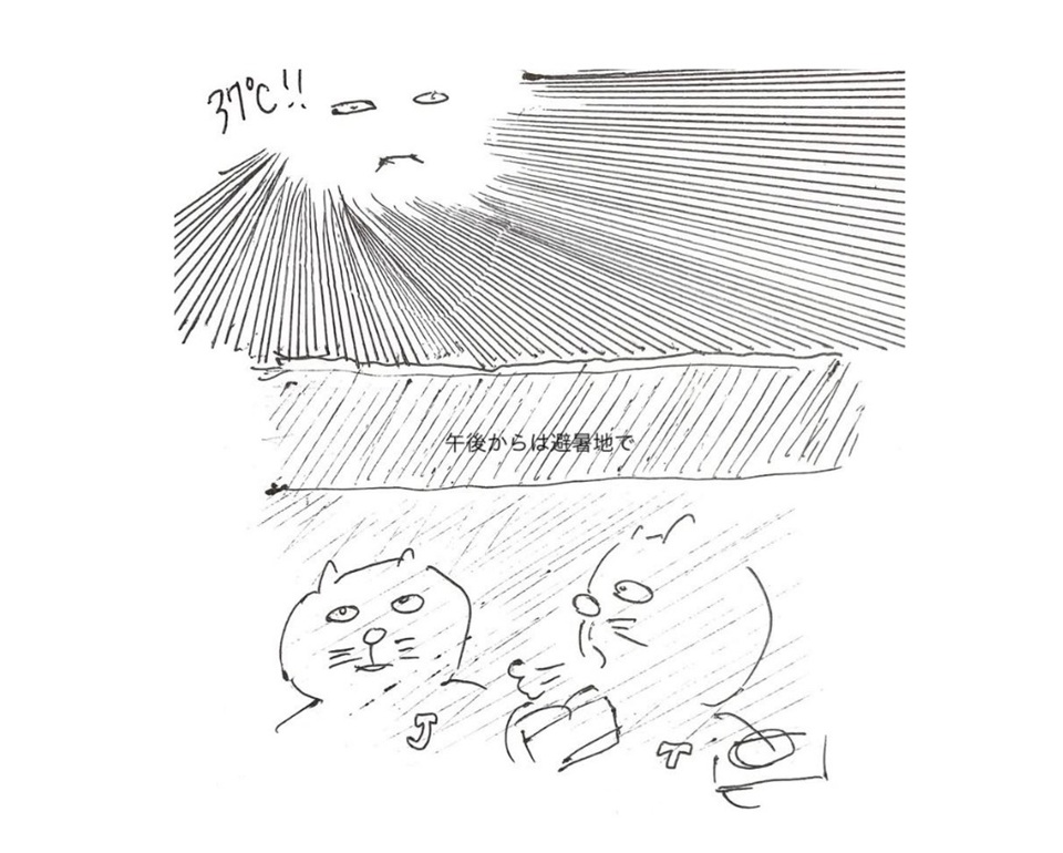 コネコジローの現場日記2025年8月4日②