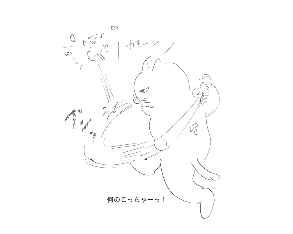 コネコジローの現場日記2025年8月20日⑥