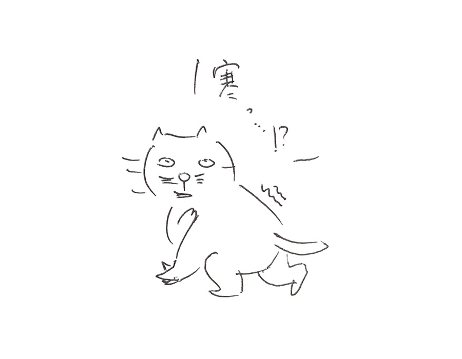 コネコジローの現場日記BACK TO THE FUTURE③