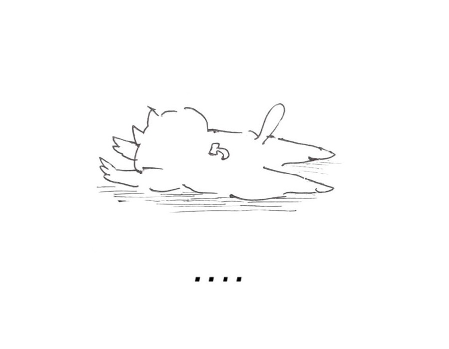 コネコジローの現場日記BACK TO THE FUTURE①